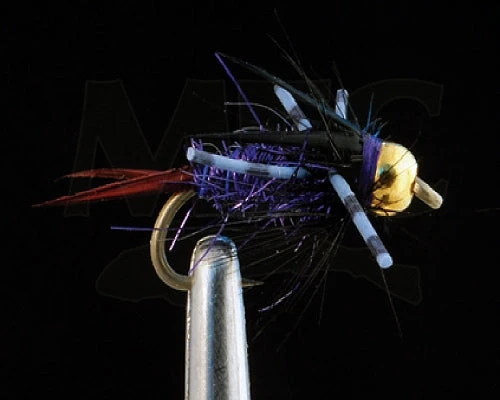 MFC BH Batman Nymph Purple 3 MFC BH Batman Nymph Purple