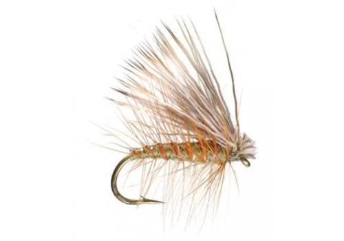 Umpqua Elk Caddis Olive 3 Umpqua Elk Caddis Olive