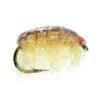 Umpqua Big Horn Shrimp 2 Umpqua Big Horn Shrimp