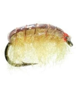Umpqua Big Horn Shrimp