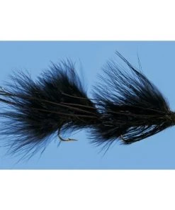 MFC Galloup's Peanut Envy - Black