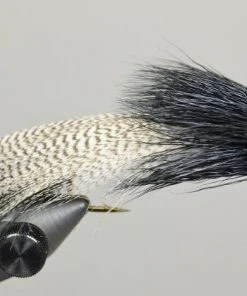 MFC Galloup's Zoo Cougar - Black