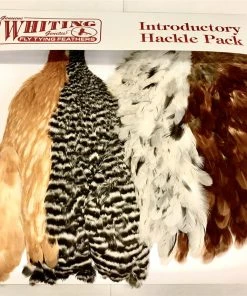 Whiting Soft Hackle Intro Pack