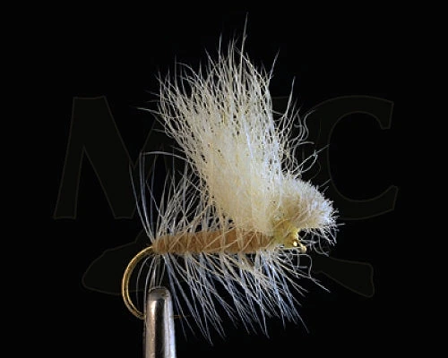 MFC Koichi's Snowshoe Spruce Moth Shop Flies 3 MFC Koichi's Snowshoe Spruce Moth Shop Flies