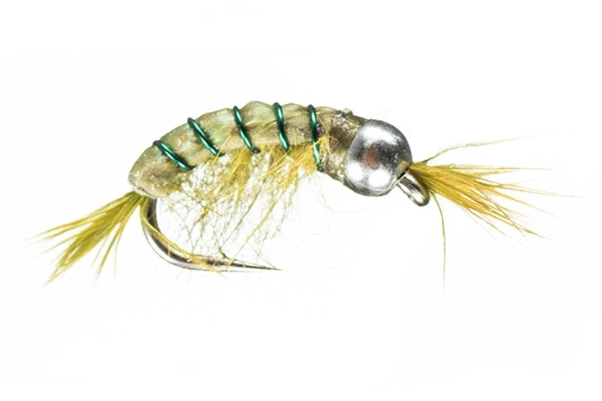 MFC BH Scud - Olive 3 MFC BH Scud - Olive