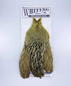 Whiting Brahma Hen Cape For Soft Hackles