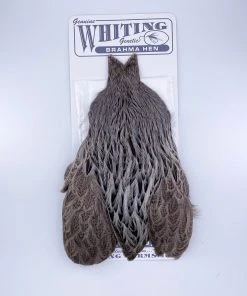 Whiting Brahma Hen Cape For Soft Hackles