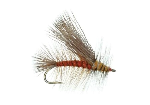 Umpqua Stimulator Orange Shop Flies 3 Umpqua Stimulator Orange Shop Flies