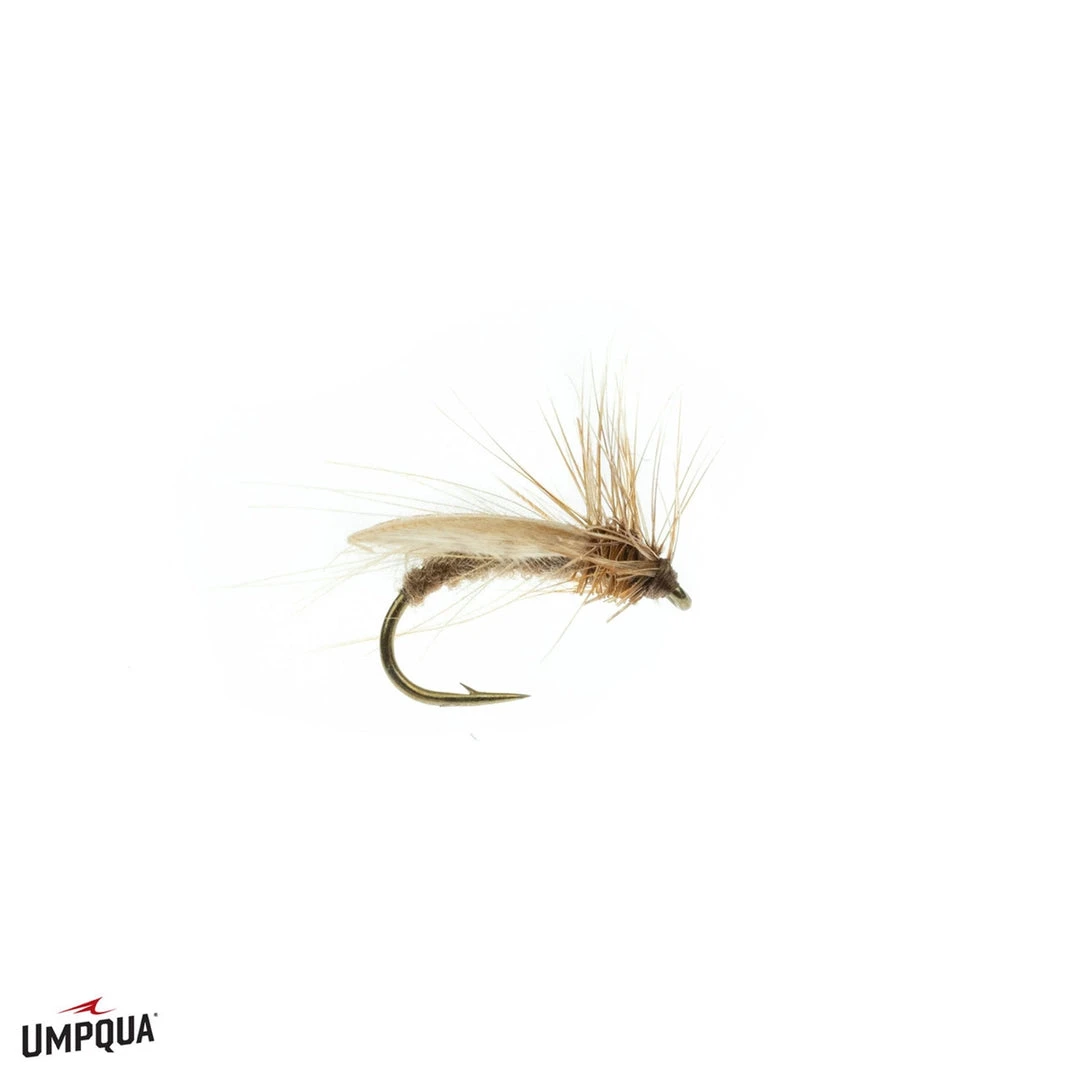 Umpqua Resting Caddis - Tan Shop Flies 3 Umpqua Resting Caddis - Tan Shop Flies