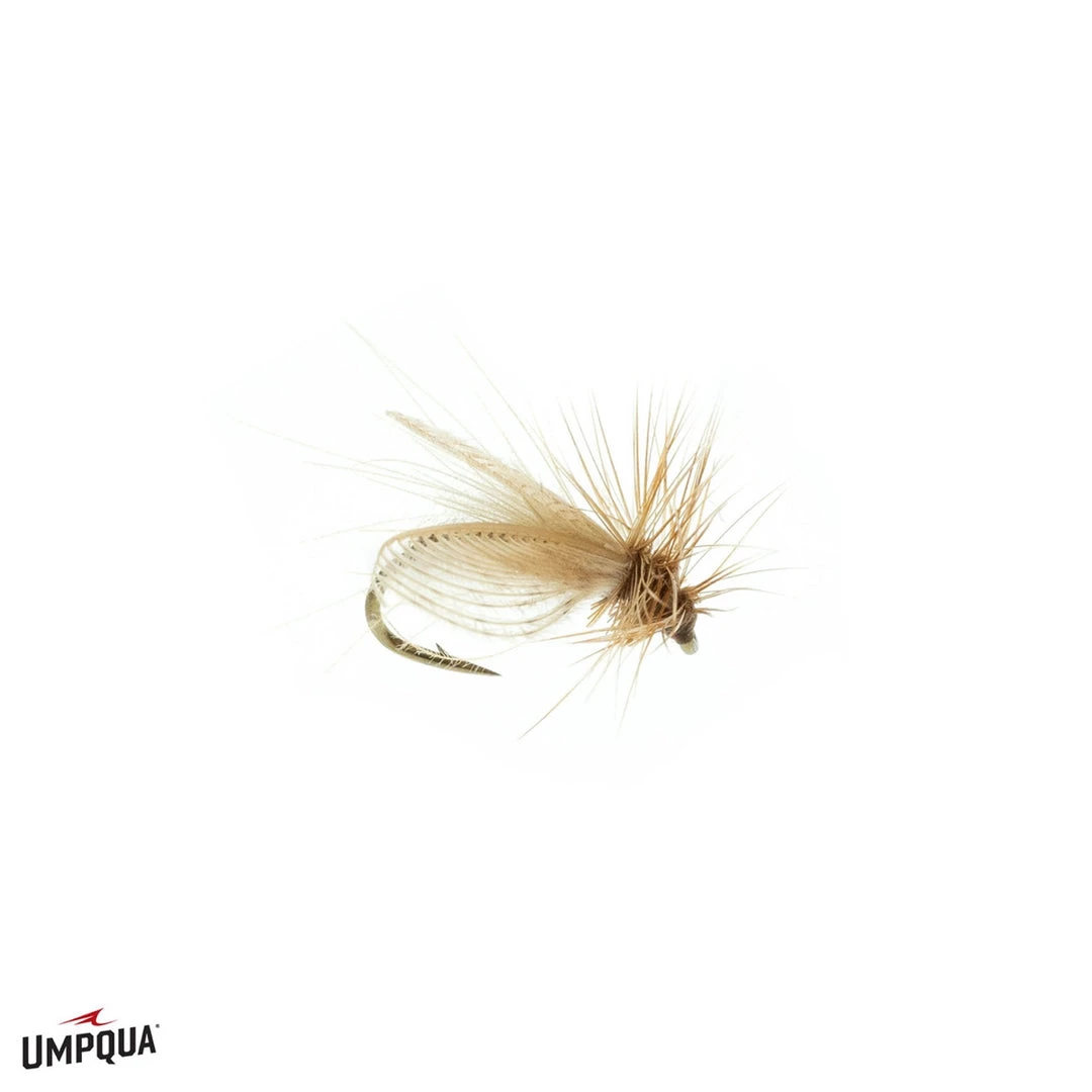 Umpqua Resting Caddis - Tan Shop Flies 4 Umpqua Resting Caddis - Tan Shop Flies