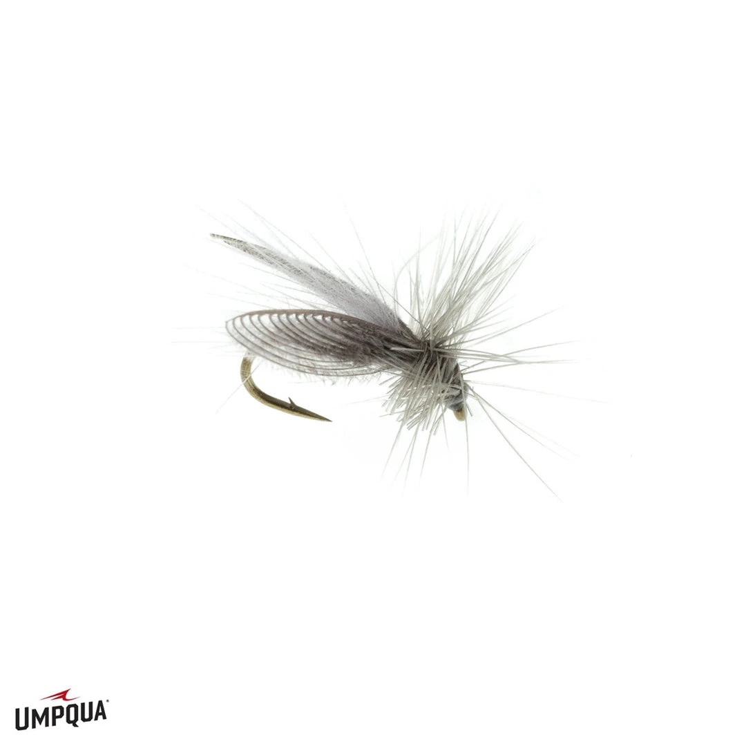 Umpqua Resting Caddis - Gray 4 Umpqua Resting Caddis - Gray