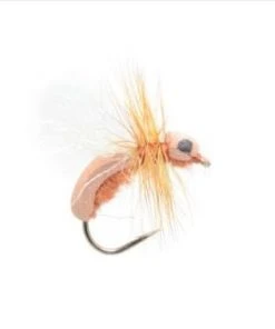 Fulling Mill Cinnamon Toast Ant