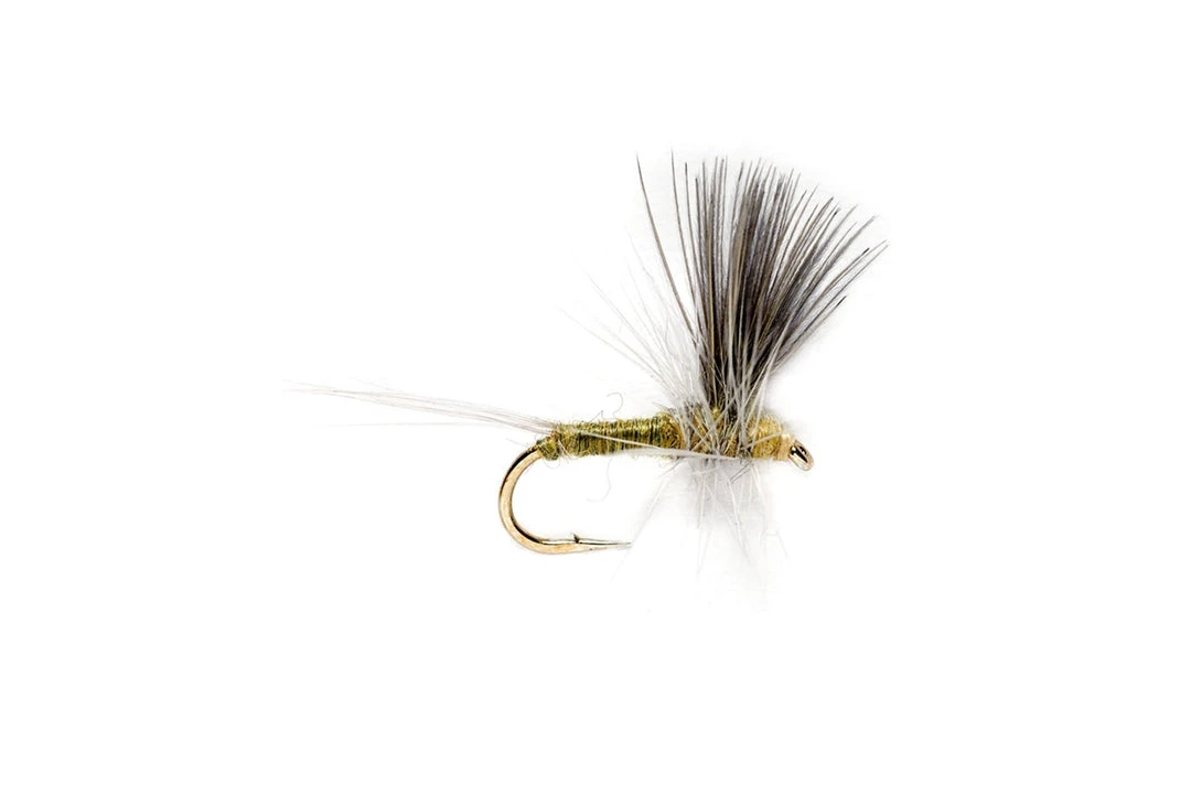 Fulling Mill Shop Flies Blue Winged Olive Thorax 3 Fulling Mill Shop Flies Blue Winged Olive Thorax