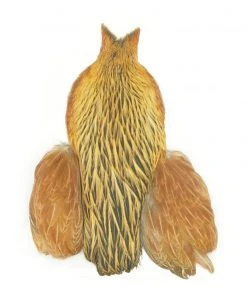 Whiting 4B Hen Cape Hackle