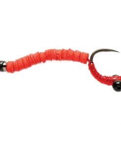 Fulling Mill Carp Worm