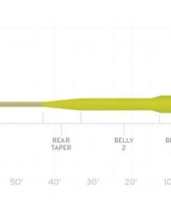 Fly Lines Scientific Anglers Amplitude Smooth Titan Long Taper Fly Line