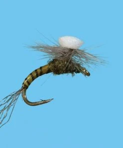 Solitude Brook's Sprout - Baetis Shop Flies