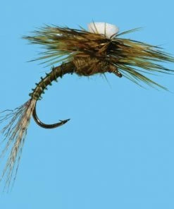 Solitude Shop Flies Brook's Sprout - Flavilinea