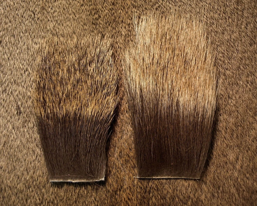 Nature's Spirit Cow Elk Backstrip Hair & Fur 3 Nature's Spirit Cow Elk Backstrip Hair & Fur