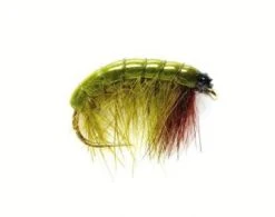 Fulling Mill UK Olive Bug