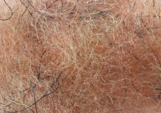 Hareline Cohen's Carp Dub 13 Hareline Cohen's Carp Dub