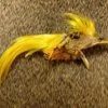 Nature's Spirit Golden Pheasant Crest Streamers