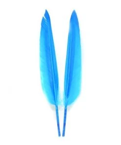 Feathers & Marabou Nature's Spirit Duck Quills