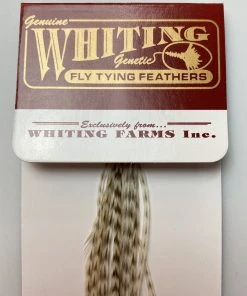 Whiting 100 Pack Dry Fly Hackle - Dun Grizzly - 18
