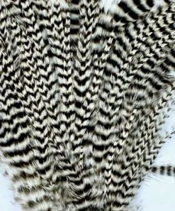 Wapsi Hackle Ewing Wooly Bugger Patch