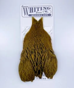 Whiting Brahma Hen Cape For Soft Hackles