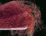 Nature's Spirit Sybai Fine Flash Dubbing 26 Nature's Spirit Sybai Fine Flash Dubbing