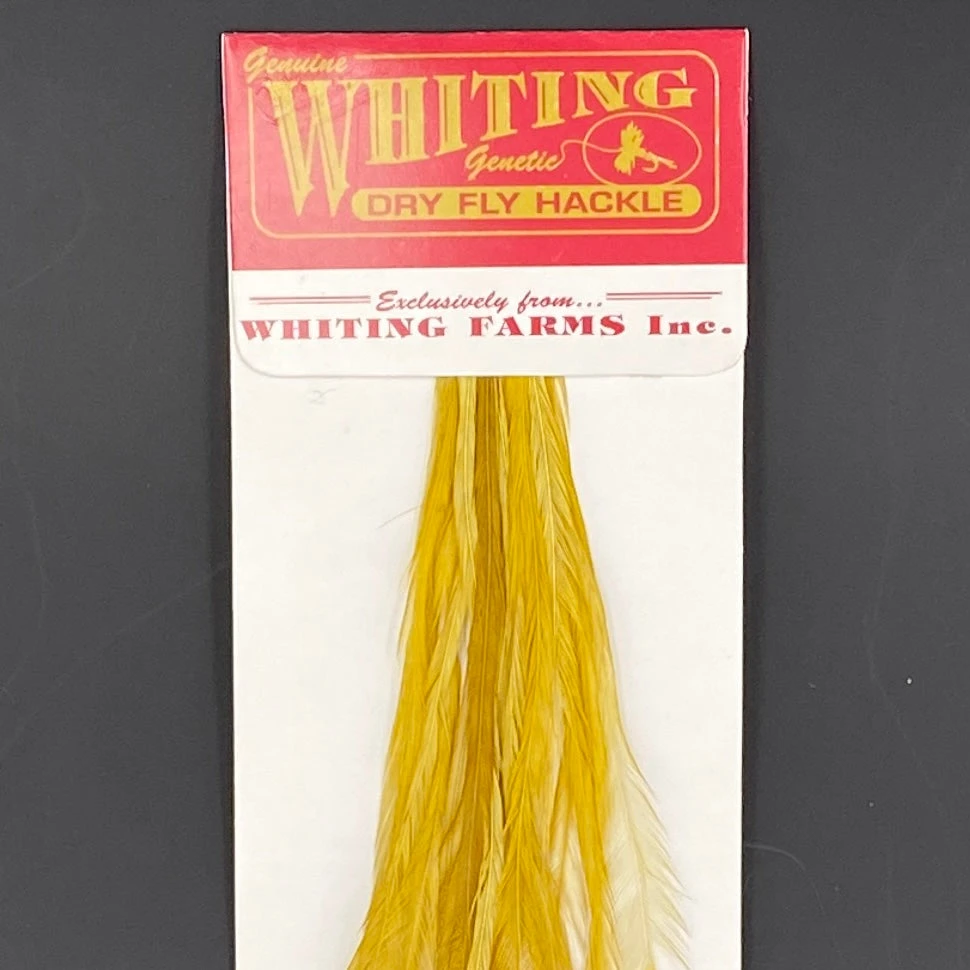 Whiting 100 Pack Dry Fly Hackle - White Dyed Golden Olive - 14 3 Whiting 100 Pack Dry Fly Hackle - White Dyed Golden Olive - 14