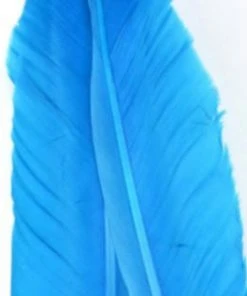 Nature's Spirit Goose Quills 17 Nature's Spirit Goose Quills