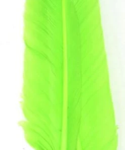 Nature's Spirit Goose Quills 12 Nature's Spirit Goose Quills