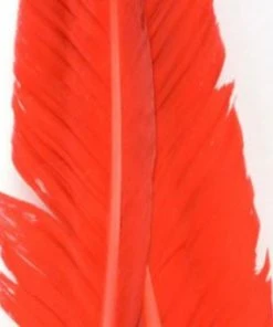 Nature's Spirit Goose Quills 13 Nature's Spirit Goose Quills