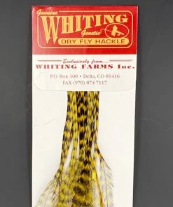 Whiting 100 Pack Dry Fly Hackle - Grizzly Dyed Golden Olive - 14