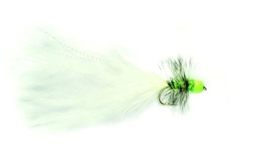 Fulling Mill UK Hot Taddy Cat Shop Flies 3 Fulling Mill UK Hot Taddy Cat Shop Flies