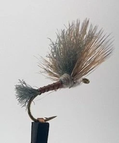 Umpqua Improved Sparkle Dun - Gray Drake Shop Flies