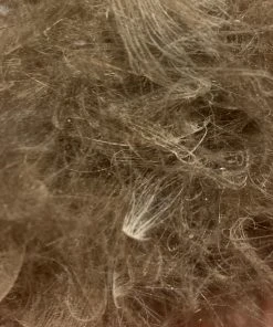 Nature's Spirit Swiss CDC Dubbing Feathers & Marabou 15 Nature's Spirit Swiss CDC Dubbing Feathers & Marabou