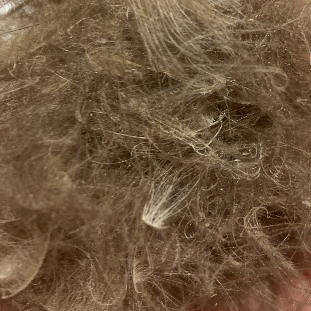 Nature's Spirit Swiss CDC Dubbing Feathers & Marabou 5 Nature's Spirit Swiss CDC Dubbing Feathers & Marabou