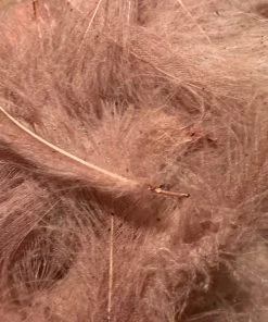 Nature's Spirit Swiss CDC 100% Natural Dyed Grade