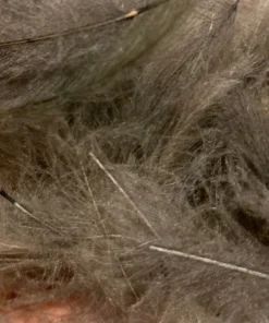 TroutHunter Premium CDC