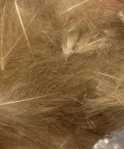 TroutHunter Premium CDC