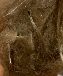 TroutHunter Premium CDC