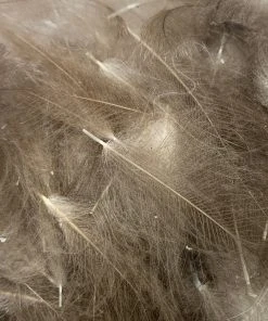 Nature's Spirit Feathers & Marabou Swiss CDC Super Select Grade 36 Nature's Spirit Feathers & Marabou Swiss CDC Super Select Grade