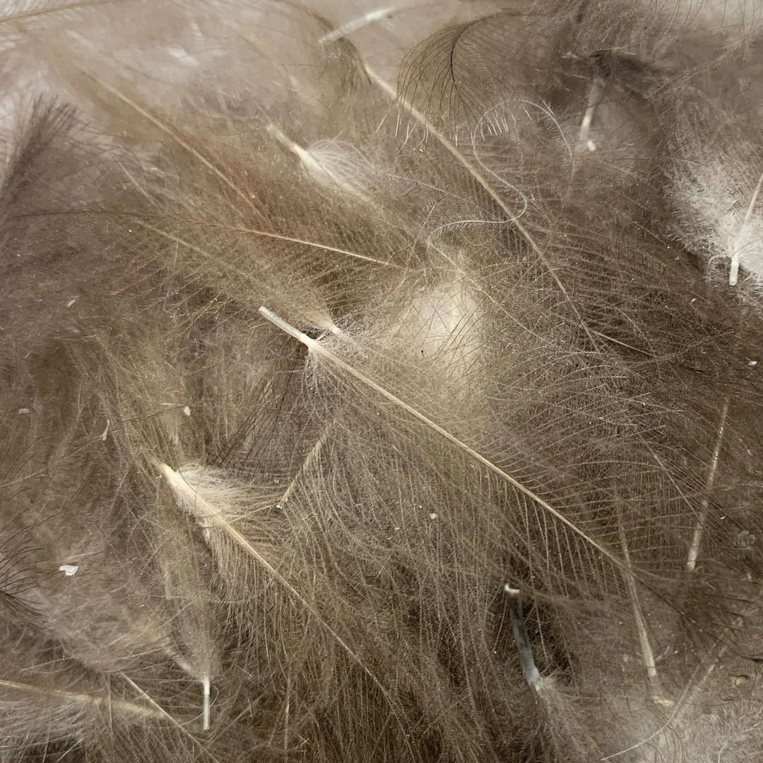 Nature's Spirit Feathers & Marabou Swiss CDC Super Select Grade 19 Nature's Spirit Feathers & Marabou Swiss CDC Super Select Grade