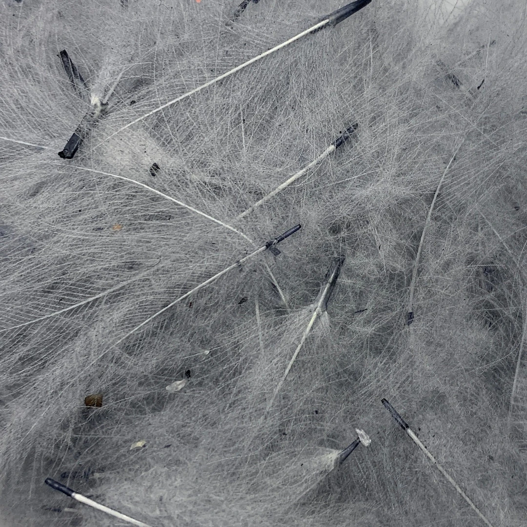 Nature's Spirit Feathers & Marabou Swiss CDC Super Select Grade 11 Nature's Spirit Feathers & Marabou Swiss CDC Super Select Grade