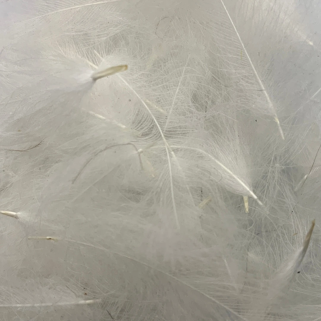 Nature's Spirit Feathers & Marabou Swiss CDC Super Select Grade 6 Nature's Spirit Feathers & Marabou Swiss CDC Super Select Grade