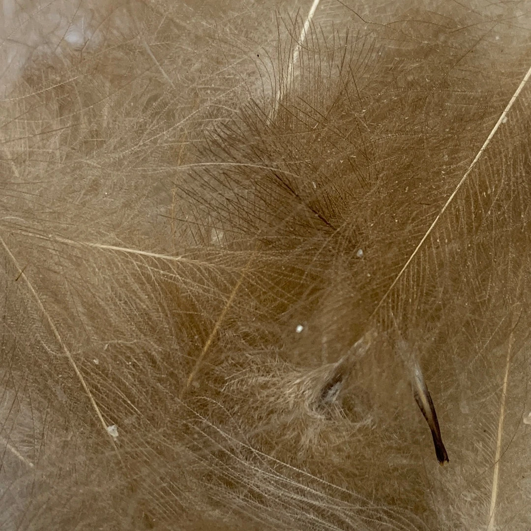 Nature's Spirit Feathers & Marabou Swiss CDC Super Select Grade 18 Nature's Spirit Feathers & Marabou Swiss CDC Super Select Grade