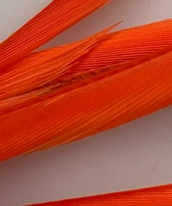 Hareline Feathers & Marabou Stripped Goose Biots